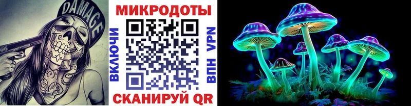 Псилоцибиновые грибы Magic Shrooms закладки Курильск
